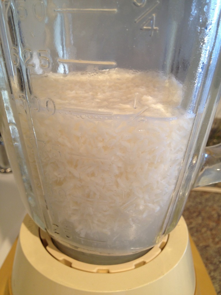 homemade-coconut-milk