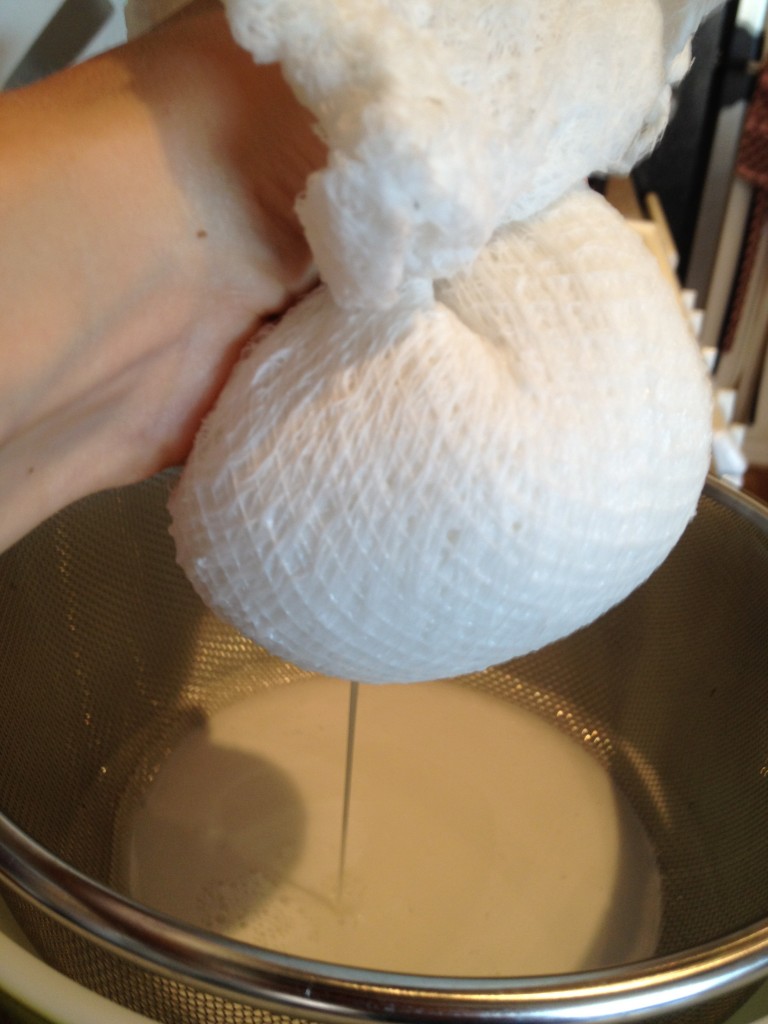 homemade-coconut-milk-pulp