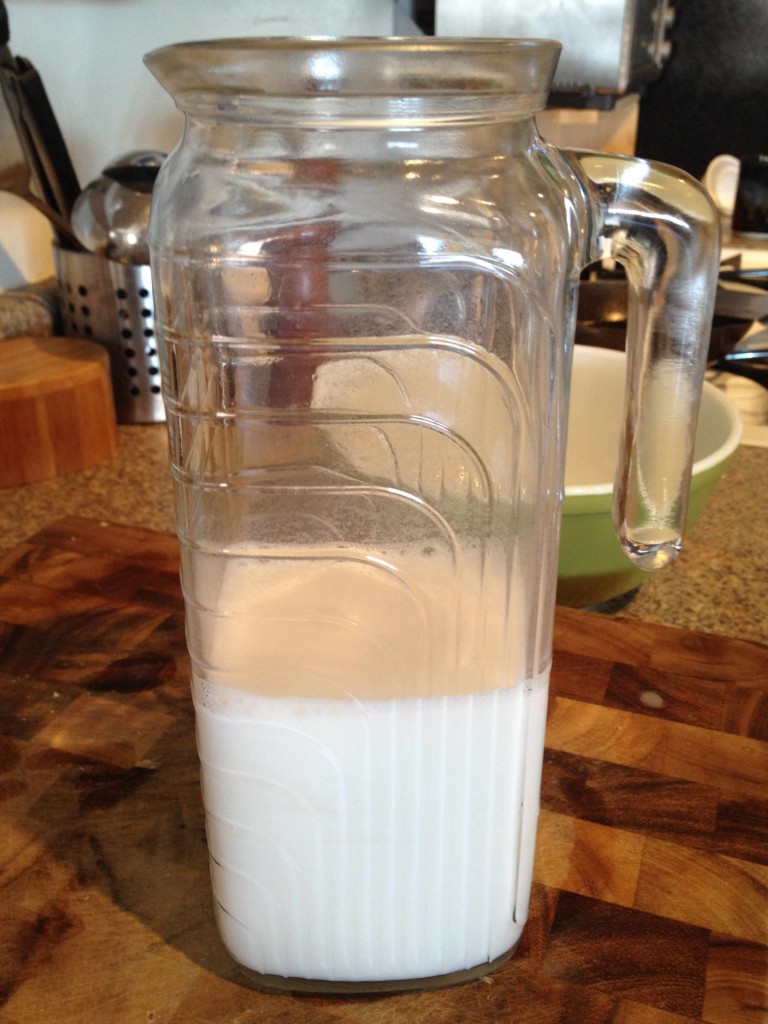 homemade-coconut-milk