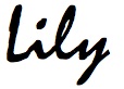 lily-name